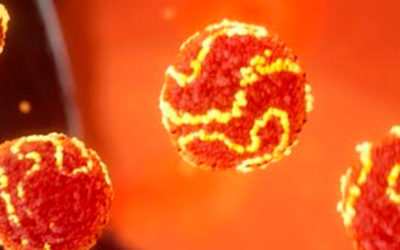 The fundamental flaw in the standard cholesterol test and what to do about it