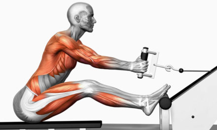 Why it’s Important to Incorporate Exercises That Work the Left and Right Side of the Body Independently
