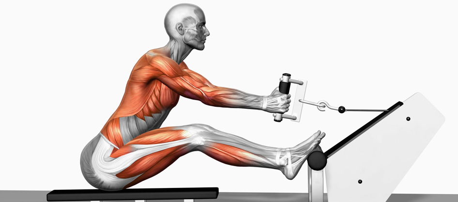 Why it’s Important to Incorporate Exercises That Work the Left and Right Side of the Body Independently