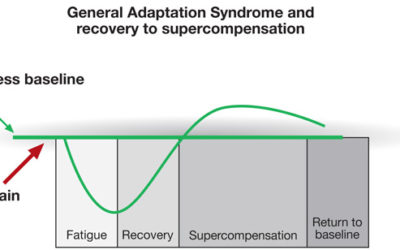 Muscular Super Compensation Part 1: Understanding & Importance