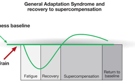 Muscular Super Compensation Part 1: Understanding & Importance