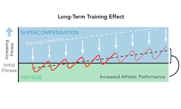 Muscular Super Compensation Part 2: Practical Applications