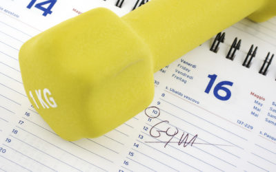 How to Schedule and Organize Your Workouts to Maximize Your Muscular Gains Part V