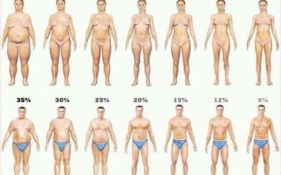 Why You Need To Know Your Body Fat Percentage