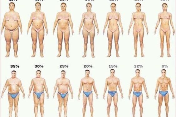 Why You Need To Know Your Body Fat Percentage
