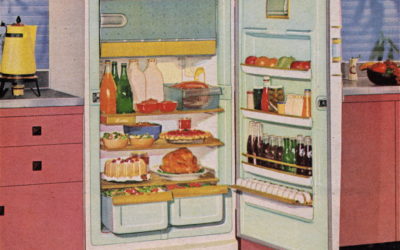 What Happens to The Food You Bring Home and What to do About It