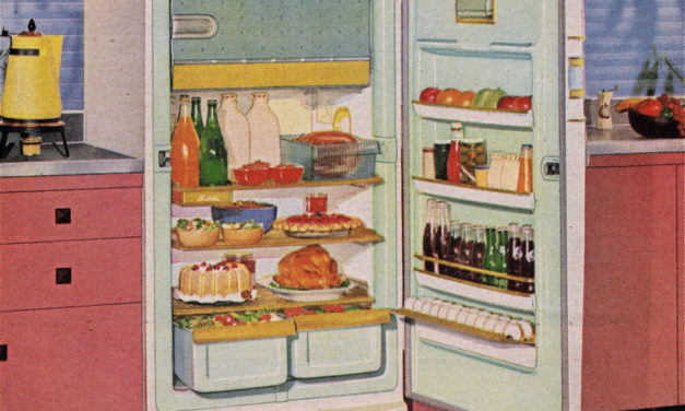 What Happens to The Food You Bring Home and What to do About It