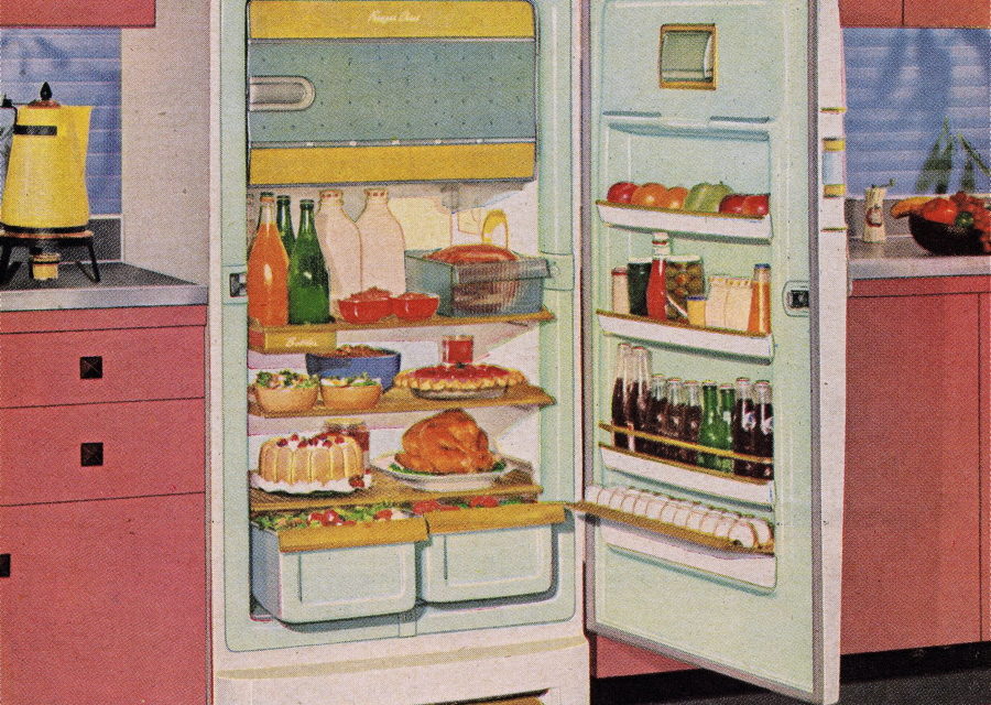 What Happens to The Food You Bring Home and What to do About It