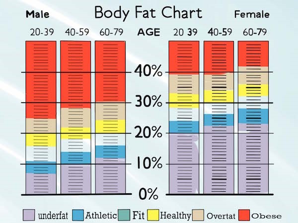 percent body fat calculator skinfold
