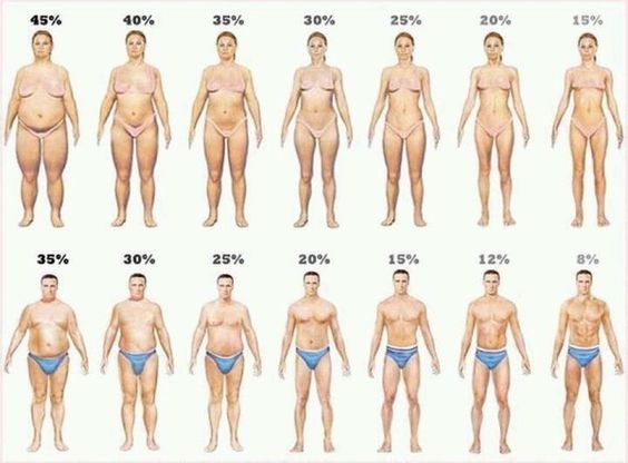 Why You Need To Know Your Body Fat Percentage