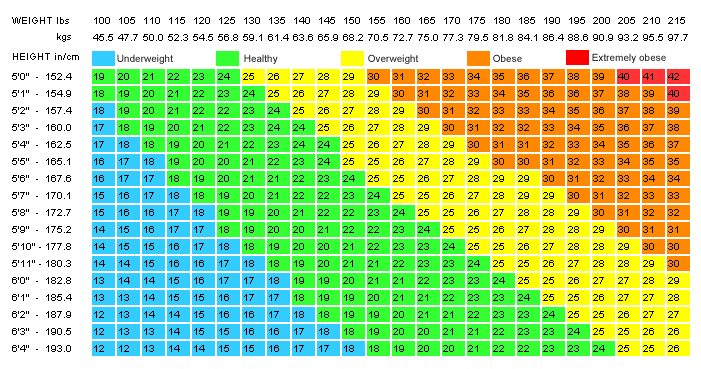 Bmi Visual Chart